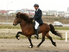 Kjarni